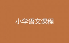 СWZo