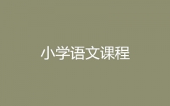 СWZo