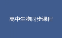 ͬӖ(xn)