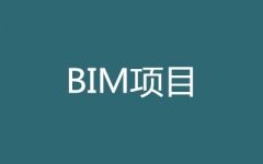 BIM(xing)ĿӖ(xn)