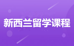 mW(xu)Ո