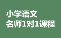 СW(xu)Z(y)1(du)1o(do)