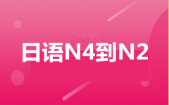 ZN4N2