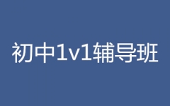1v1o
