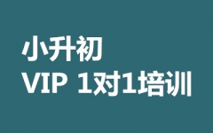 СVIP 1(du)1Ӗ(xn)
