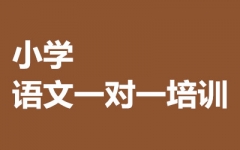СW(xu)Z(y)һ(du)һӖ(xn)