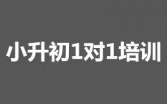 С11Ӗ(xn)