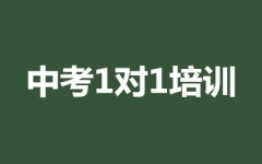 п11Ӗ(xn)