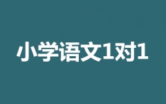 СW(xu)Z1(du)1