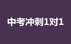 п_1(du)1