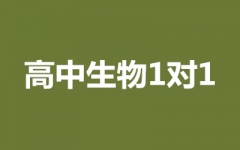 1(du)1