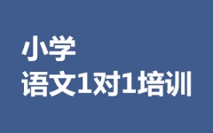 СW(xu)Z11Ӗ(xn)
