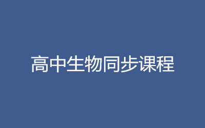 ȫ꼯ӖI