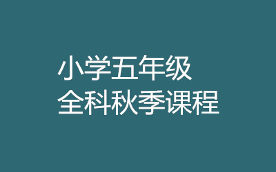 ȫ꼯ӖI