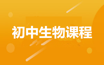 ȫ꼯ӖI