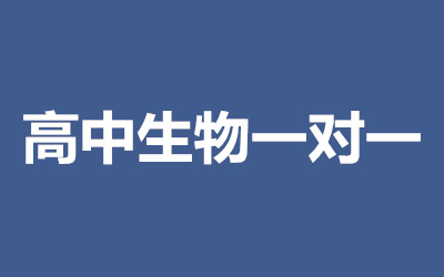 ȫ꼯Ӗ(xn)I