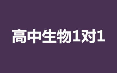 ȫ꼯ӖI