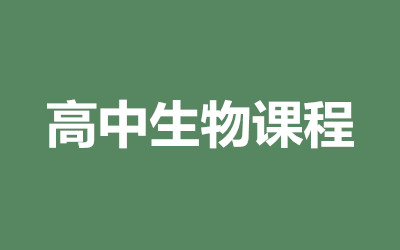 ȫ꼯ӖI