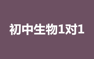 ȫ꼯ӖI