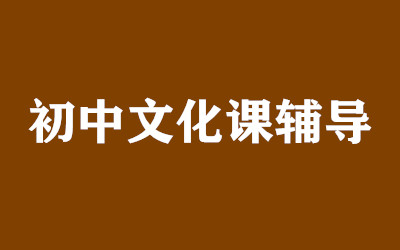 ȫ꼯ӖI