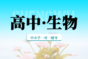 ȫ꼯Ӗ(xn)I(yng)