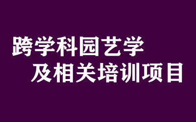 ȫ꼯Ӗ(xn)I(yng)