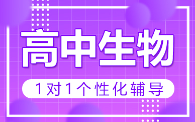 ȫ꼯Ӗ(xn)I