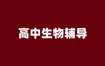 ȫ꼯Ӗ(xn)I