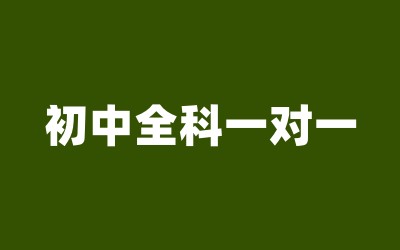 ȫ꼯ӖI